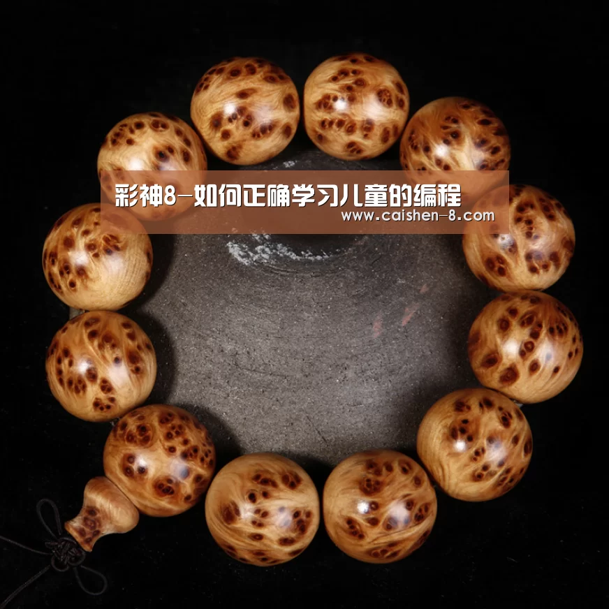 彩神8-如何正确学习儿童的编程(图2) 彩神8官网