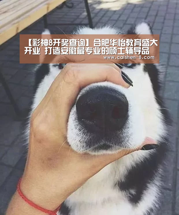 【彩神8开奖查询】合肥华怡教育盛大开业 打造安徽最专业的硕士辅导品牌(图)(图4) 彩神8官网