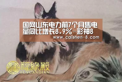 国网山东电力前7个月售电量同比增长8.9%-彩神8开奖查询