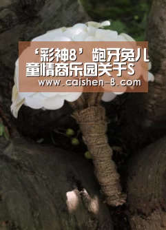 ‘彩神8’龅牙兔儿童情商乐园关于SEL介绍(图1) 彩神8开奖查询