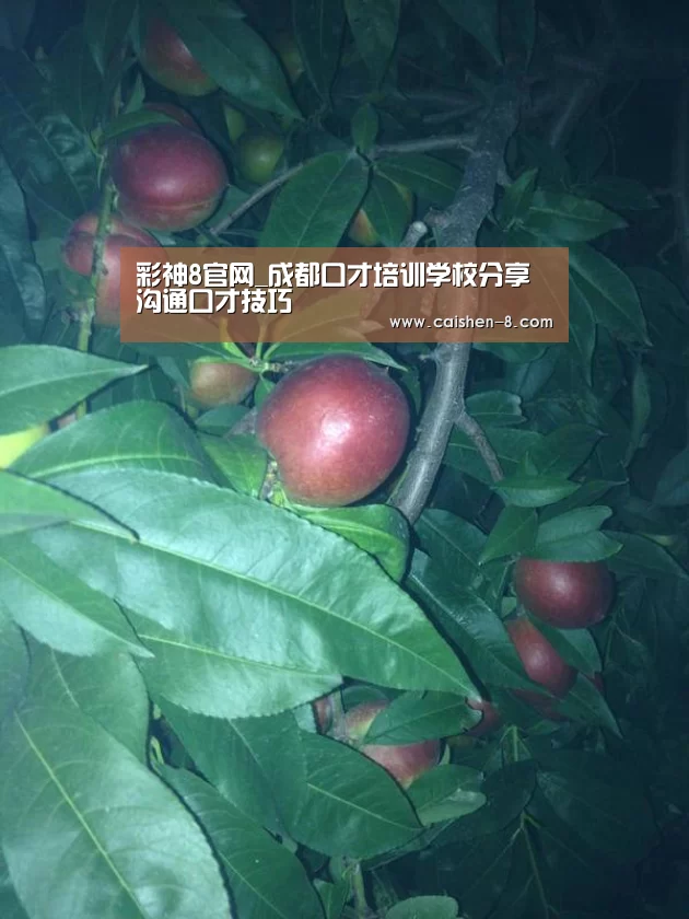 彩神8走势分析