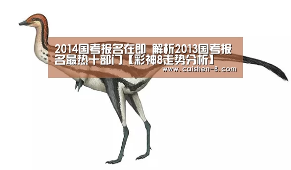 彩神8官网
